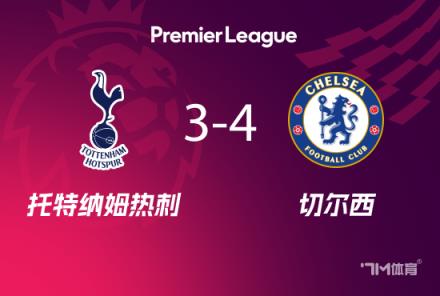 帕爾默：藍軍球迷多年期待終得喜訊