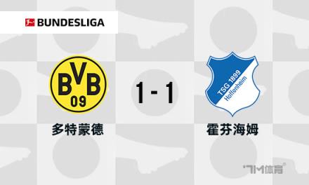 德甲：多特蒙德1-1霍芬海姆，雷納破門，拉爾森絕平