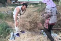 矣進(jìn)宏干農(nóng)活：堅(jiān)持到底，只為當(dāng)初的選擇